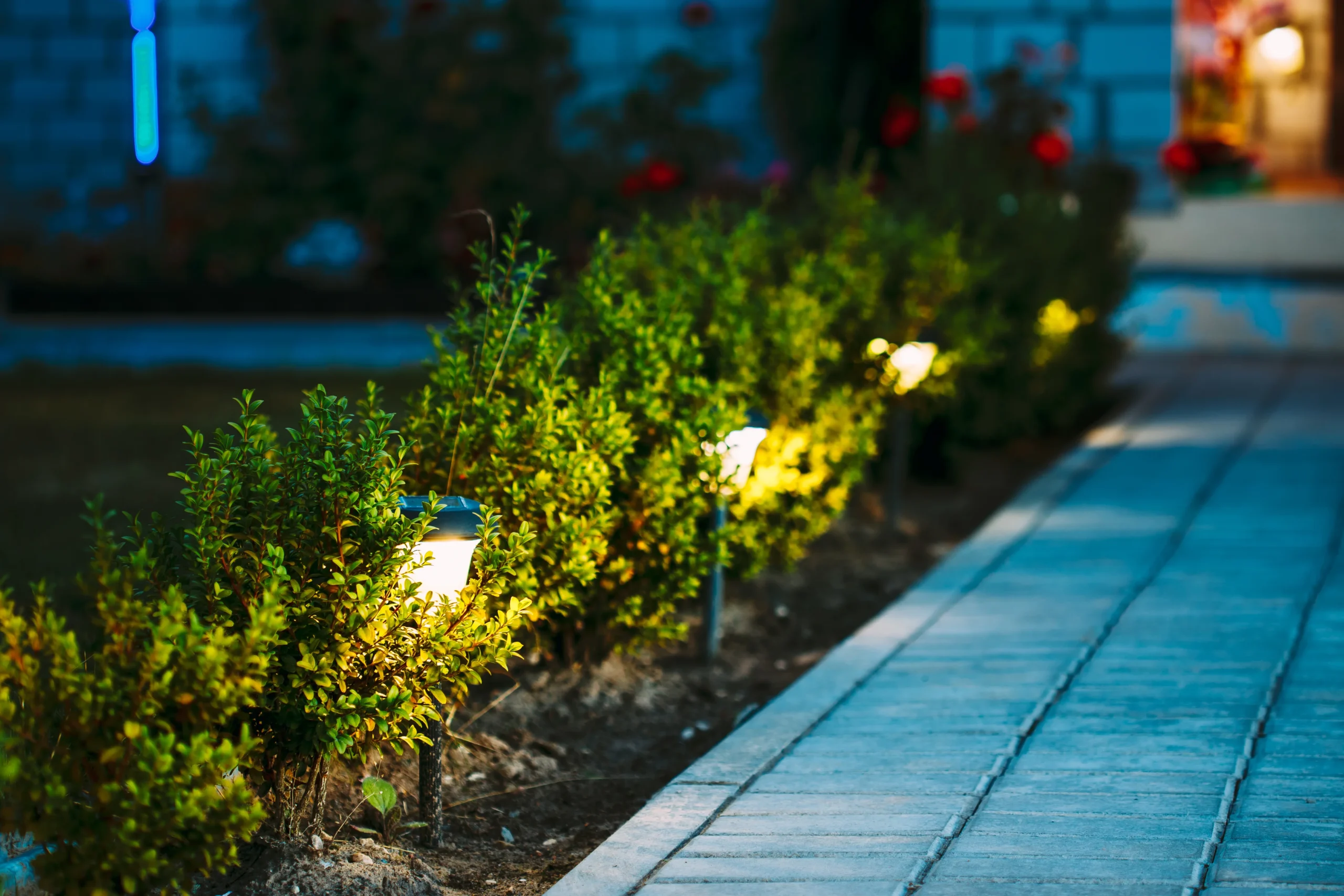 Landscape Design in Dubai’s Climate by best landscaping company in dubai